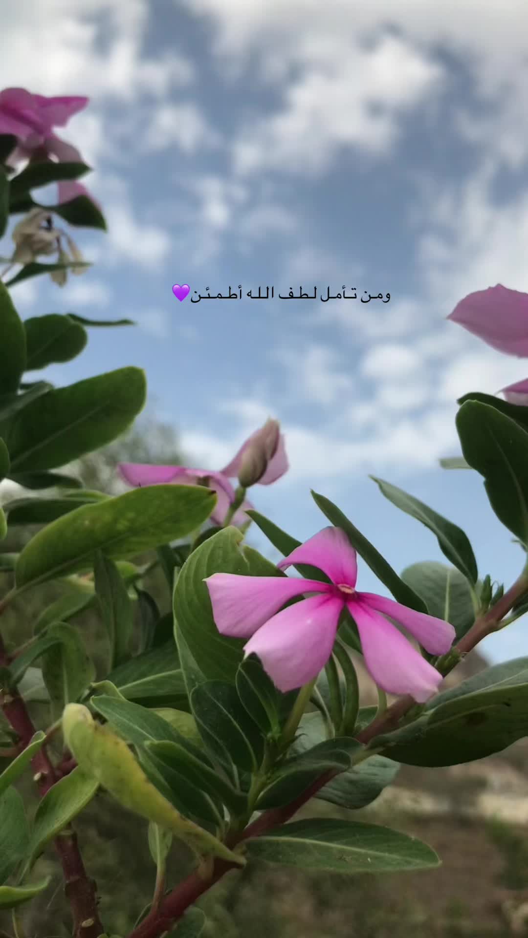 @❦