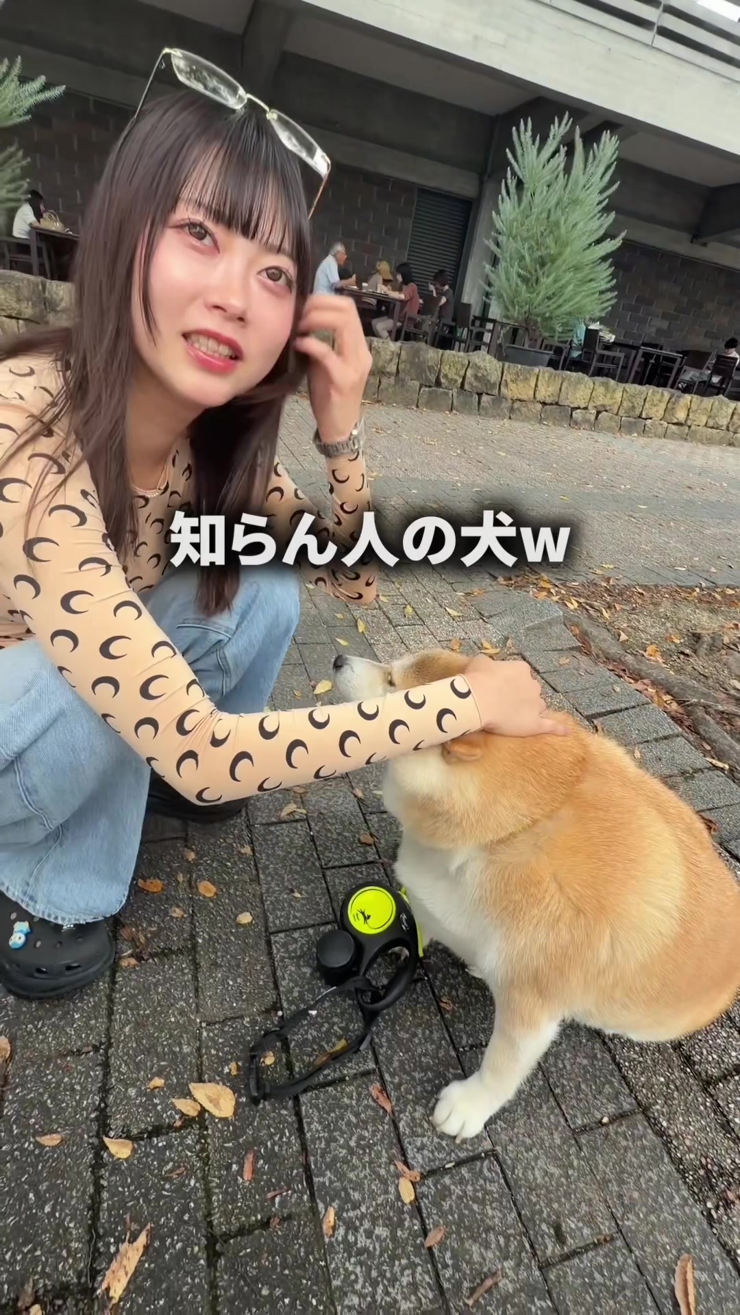 @たつもも