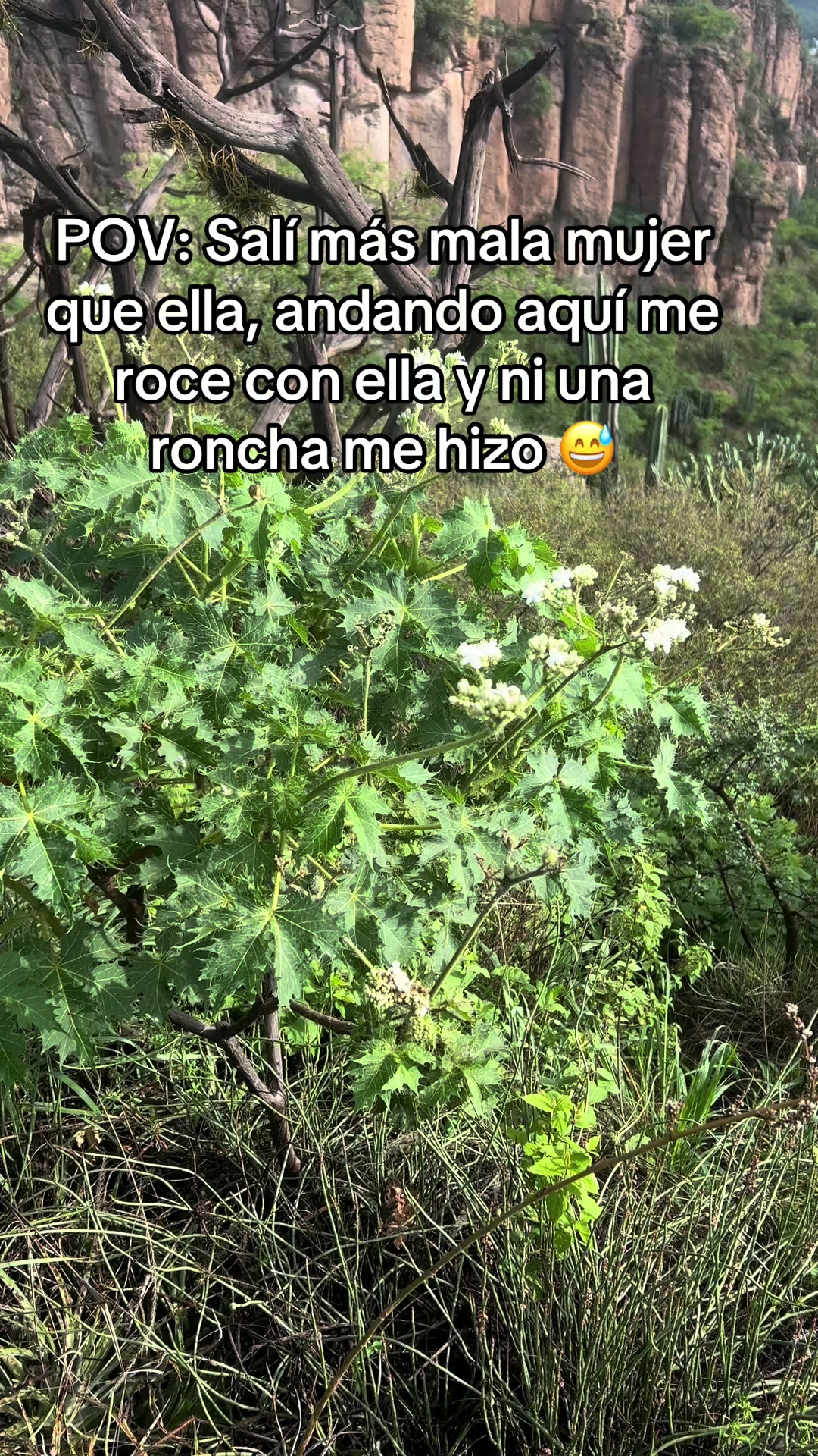 @Chely Glez