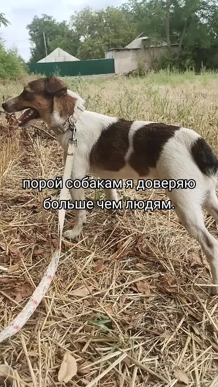 @𝘑𝘦𝘳𝘳𝘺🥏𝘢𝘪𝘳