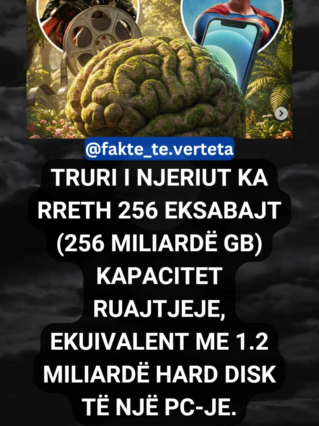 @fakte_te.verteta