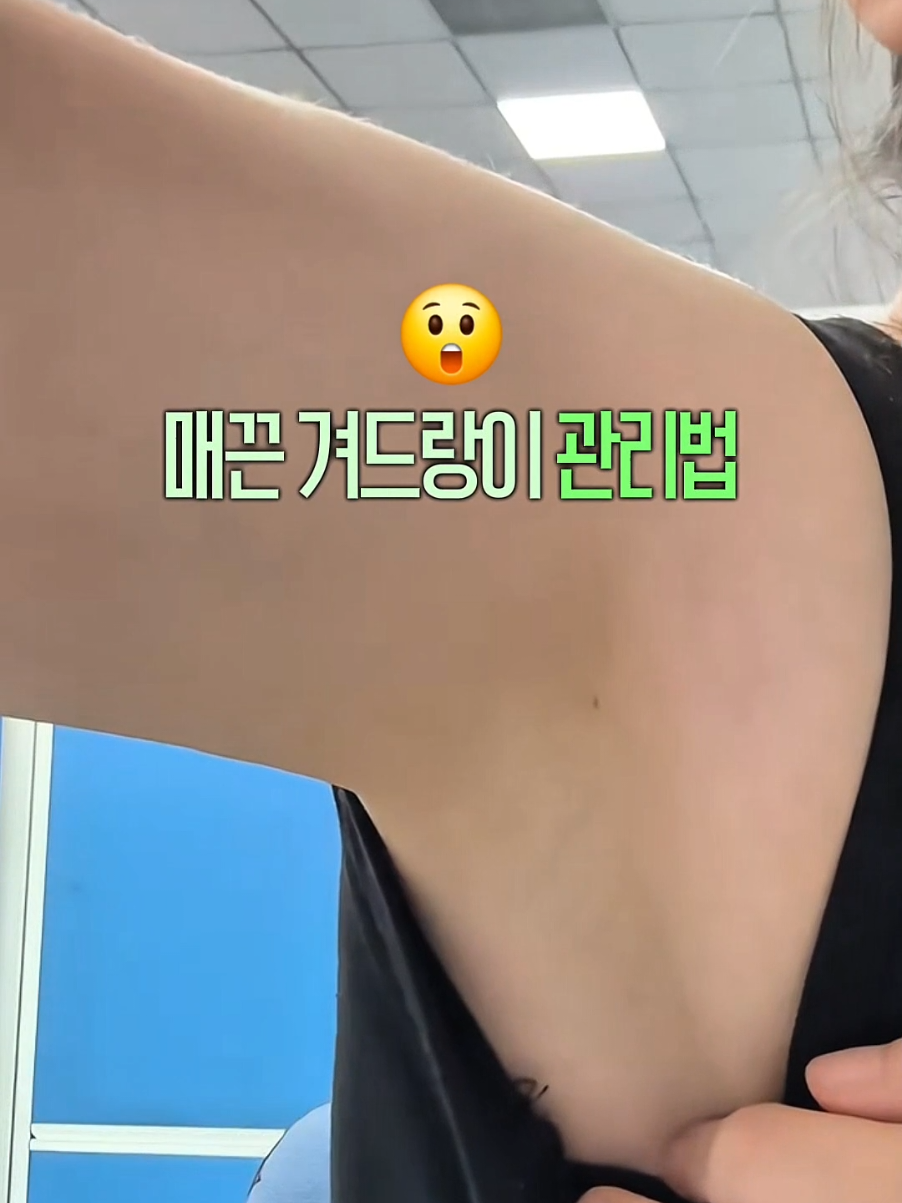 @돌고래가고래