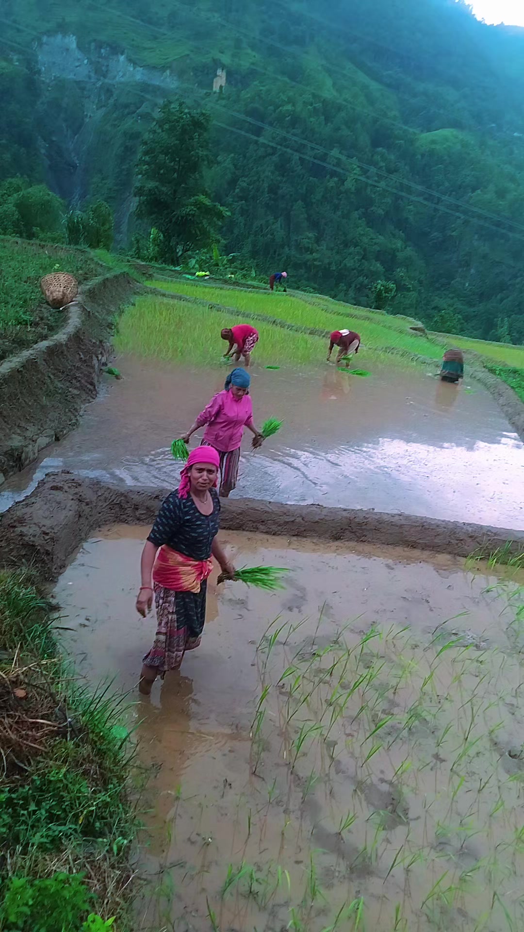 @Mina Kunwar