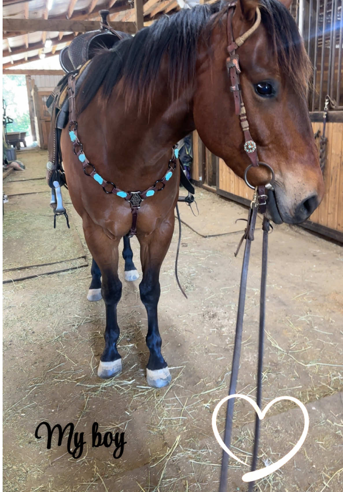 @SAMANTHA | BARREL RACING