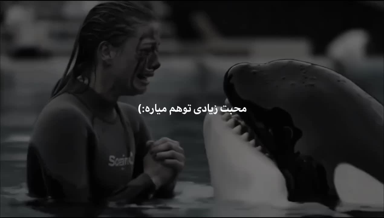 @𝖕𝖊𝖗𝖘𝖎𝖆𝖓 𝖌𝖎𝖗𝖑🐈⬛🎱