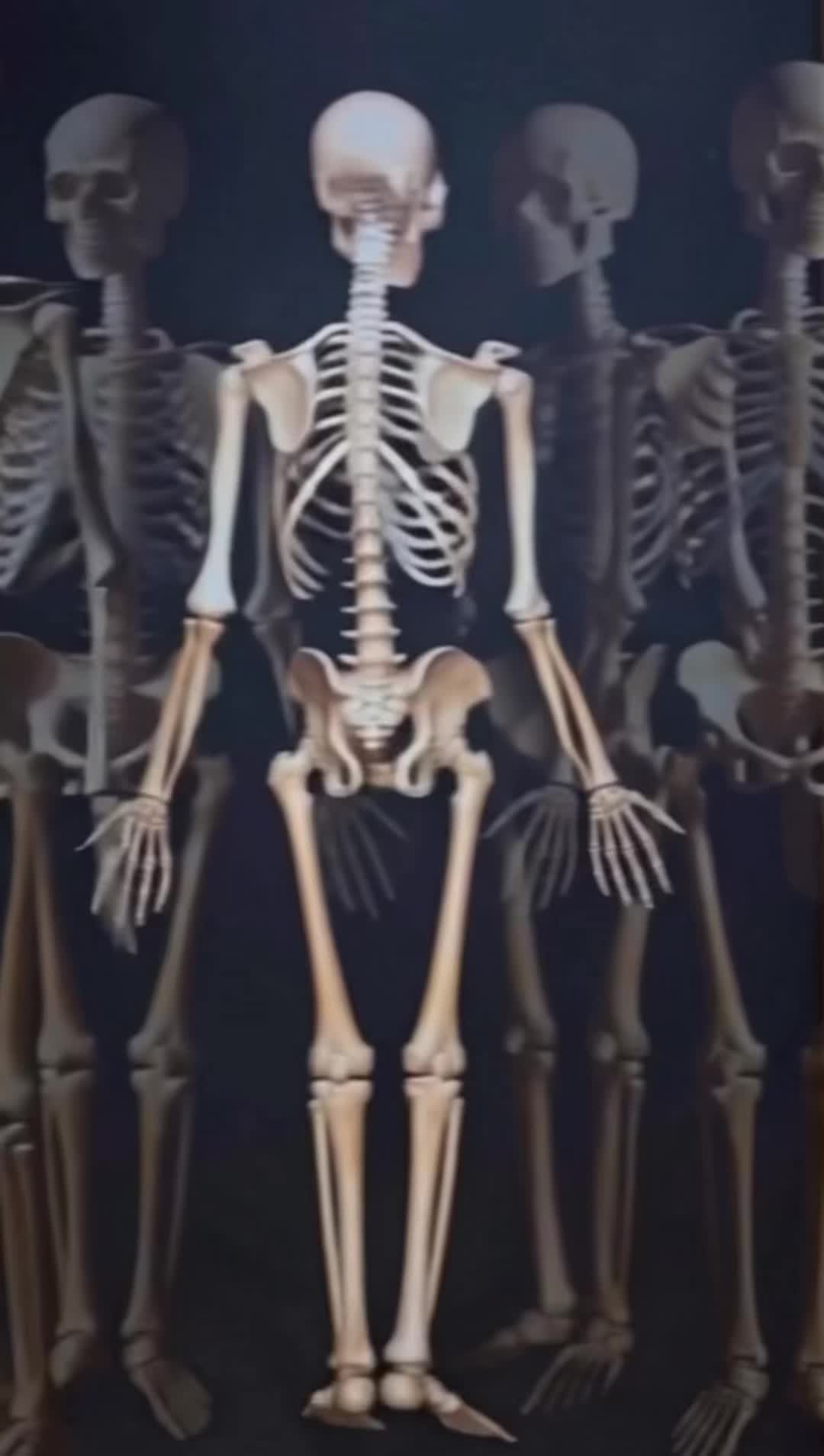 @HappyJax1822