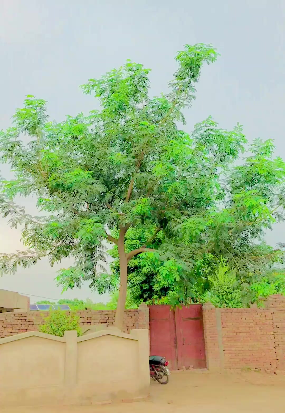 @Ali Nahra