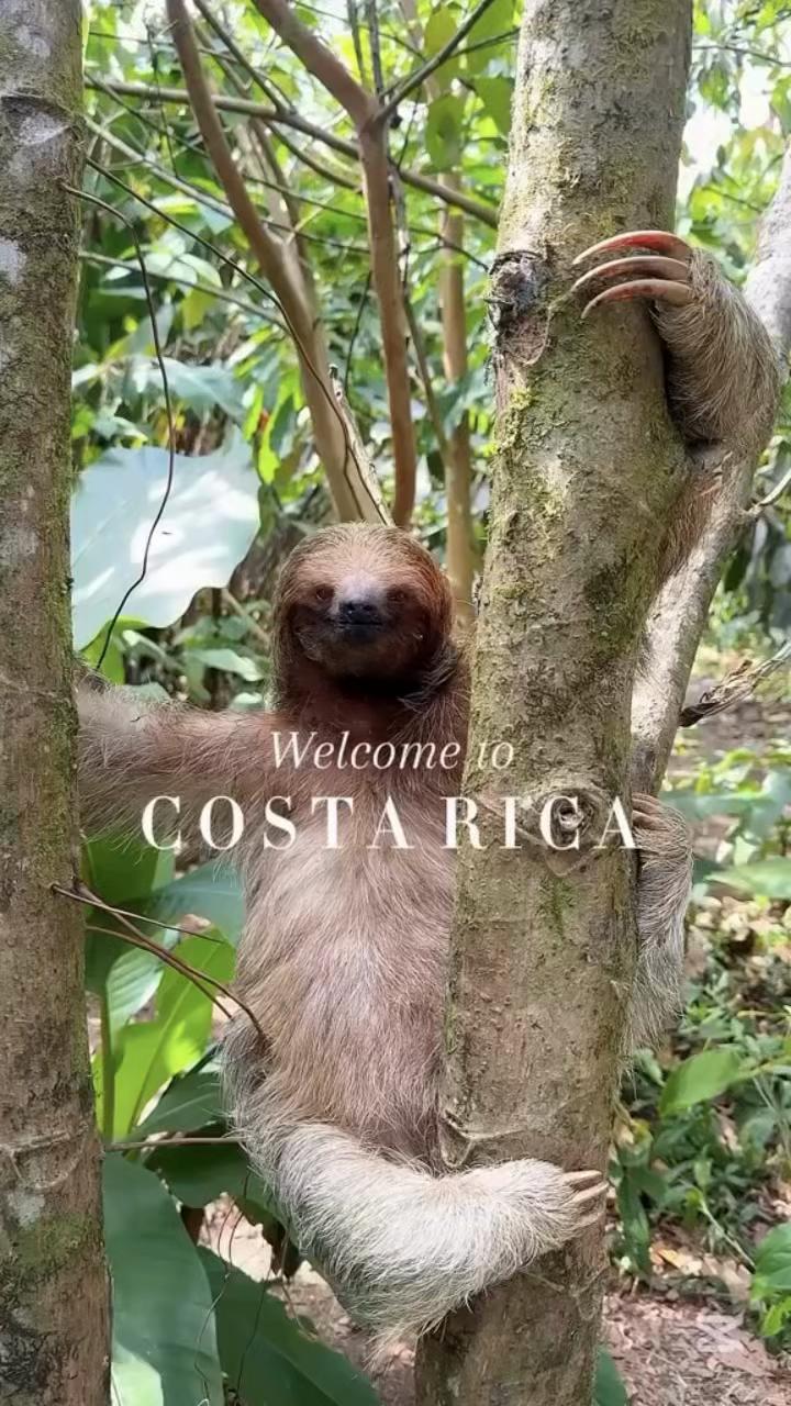 @The Costa Rica News
