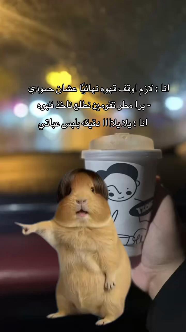 @ريم الملحم ( قهوه ) 🇸🇦☕️♥️