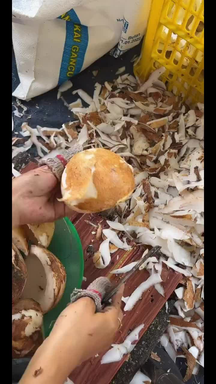 @Eni nyot nyot