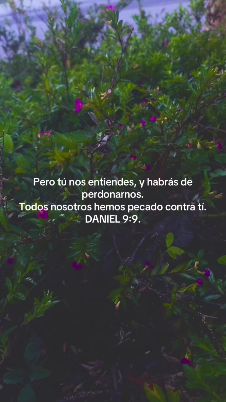 @Samii