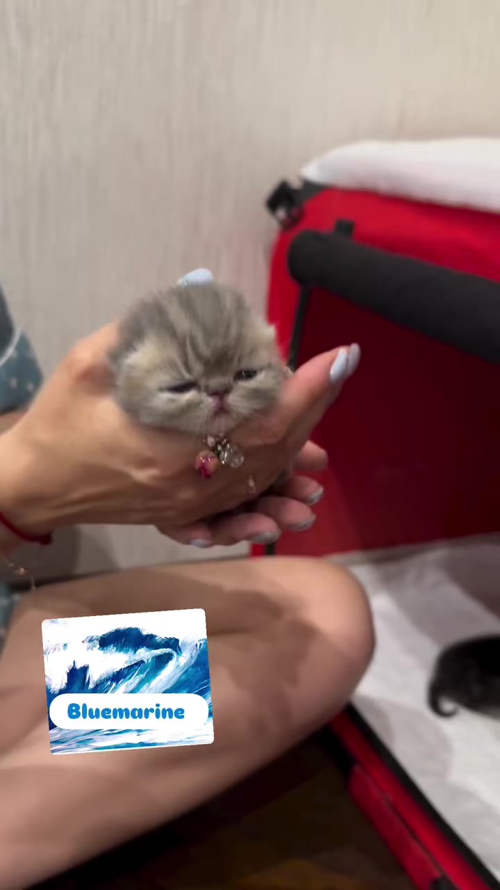 @.