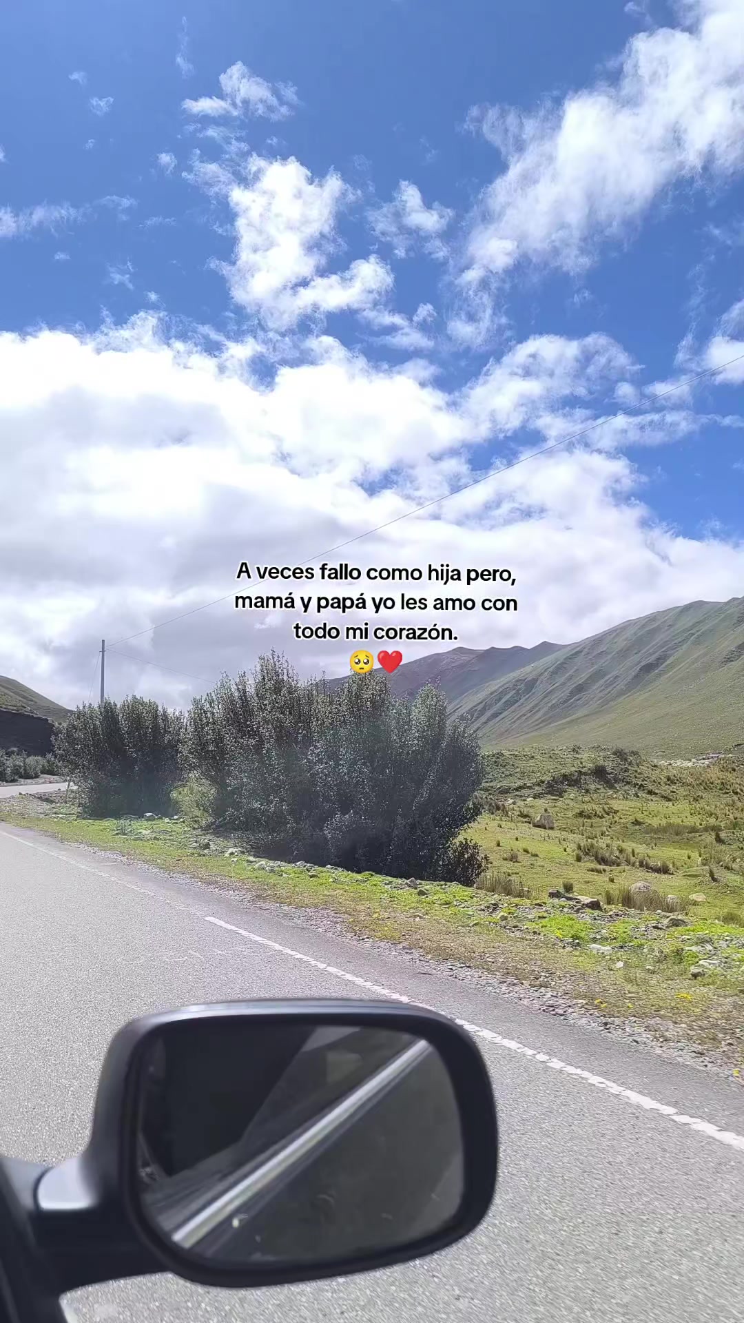 @&hearts;️𝐿𝓎 𝒞𝒞𝟫𝟫-𝟢𝟨🦁Oficial
