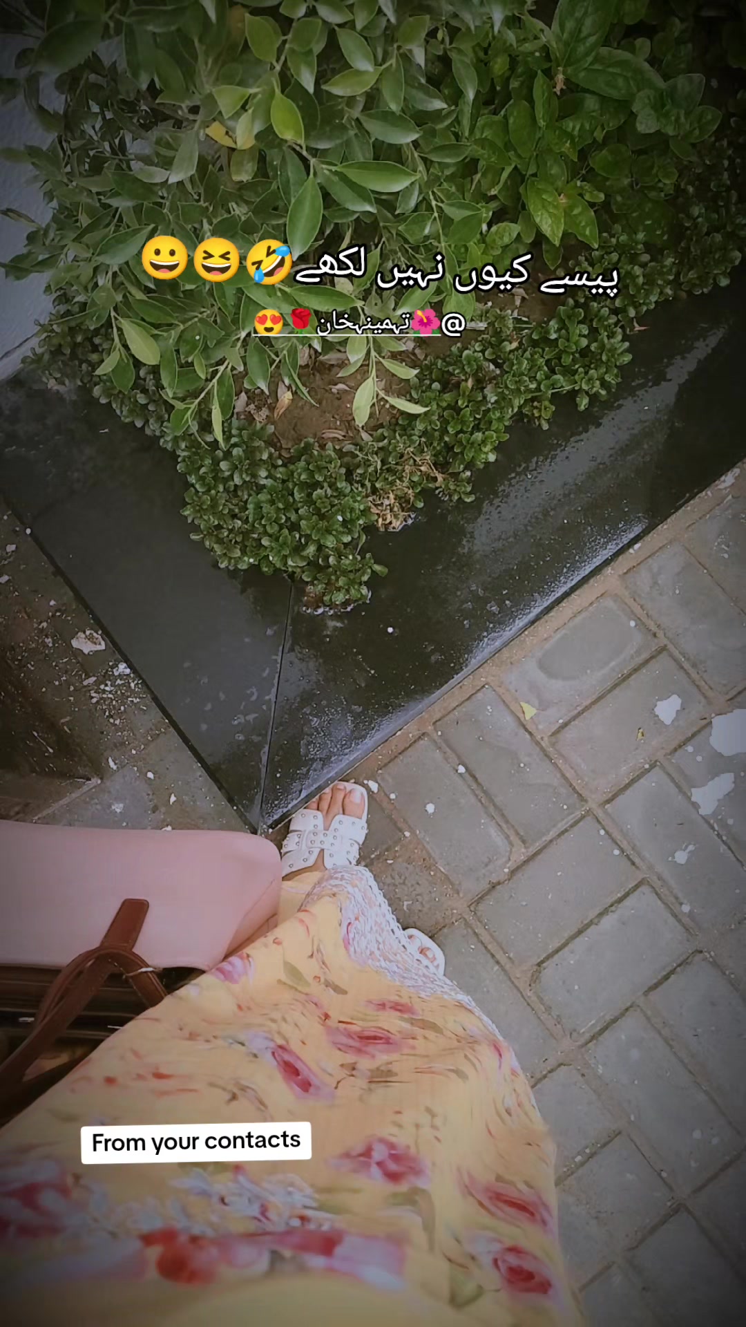 @🌺تہمینہ خان🌹😍