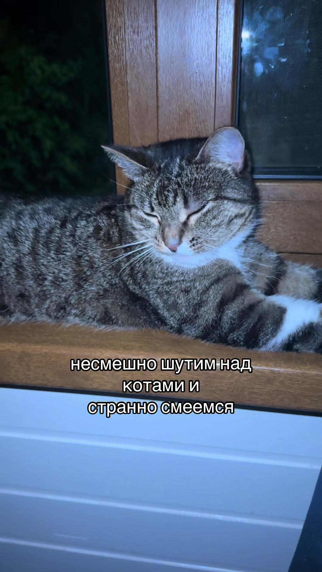 @ТГК: Динка аэ