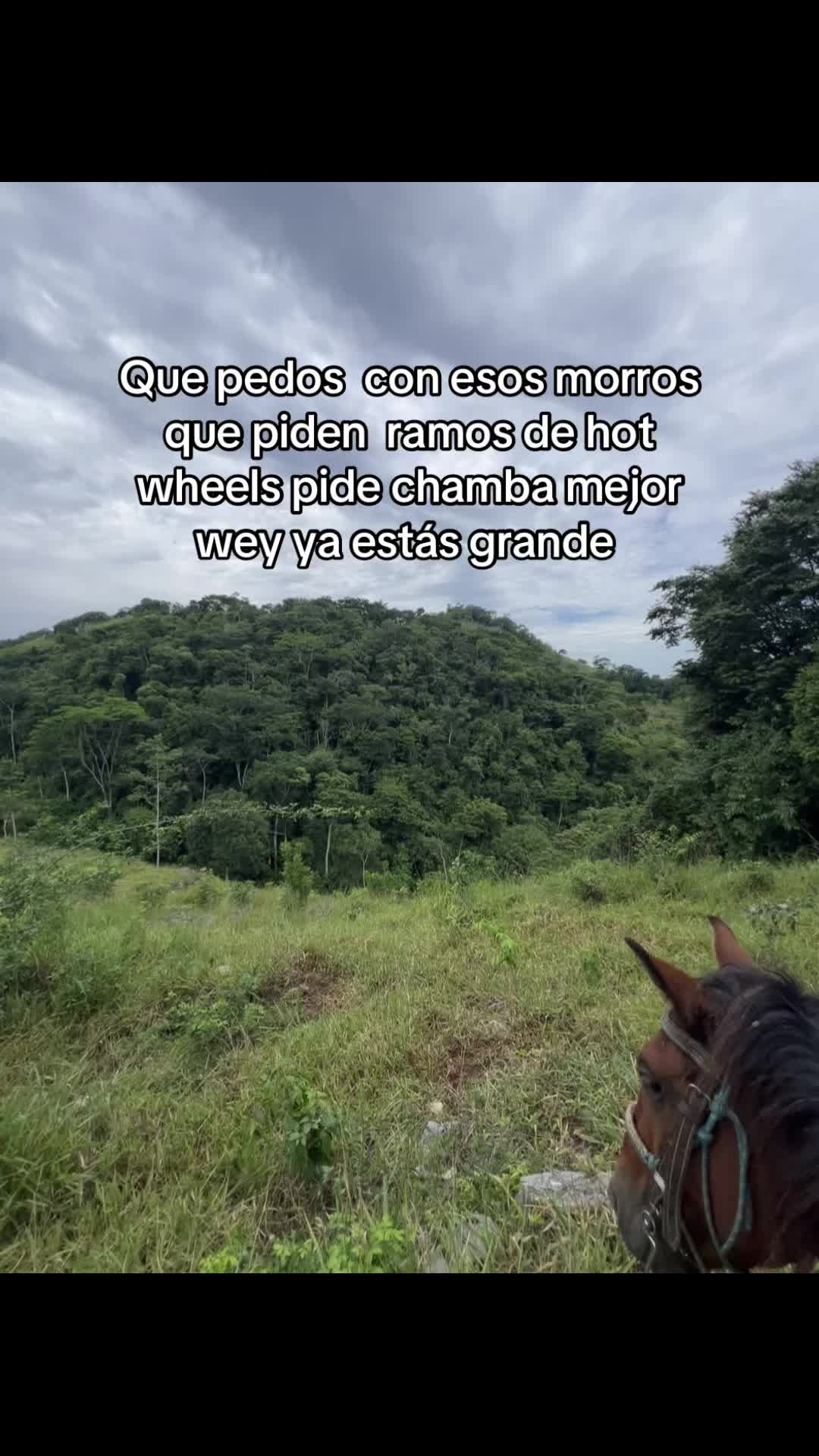 @ALVAREZ 🤠♥️