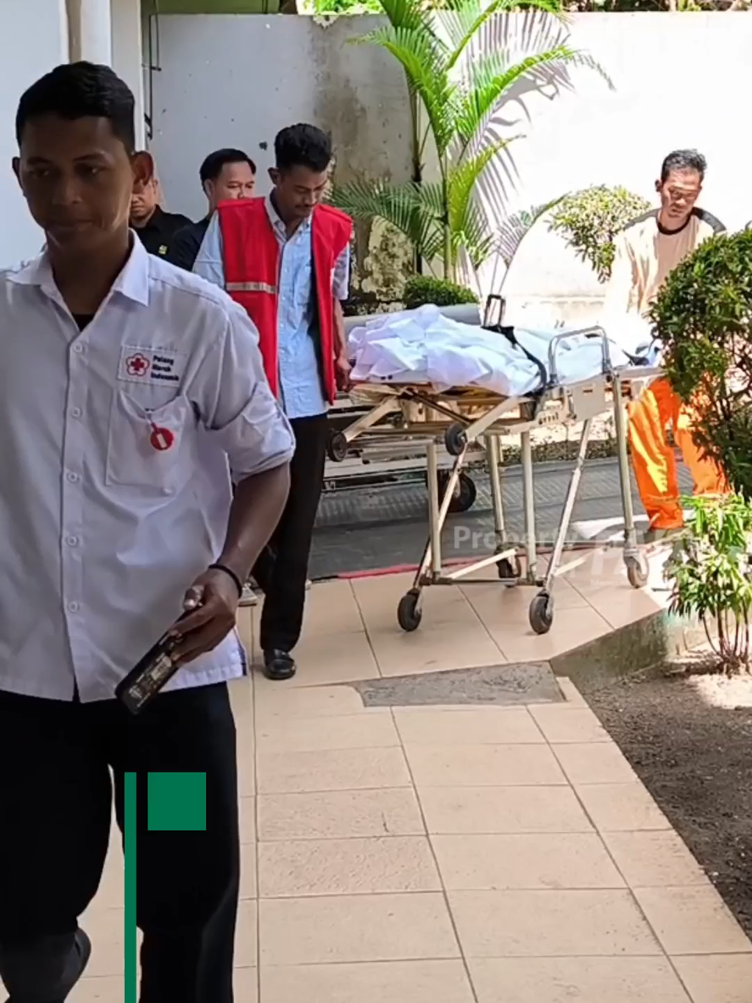 @Paltv-Memang Punyo Kito