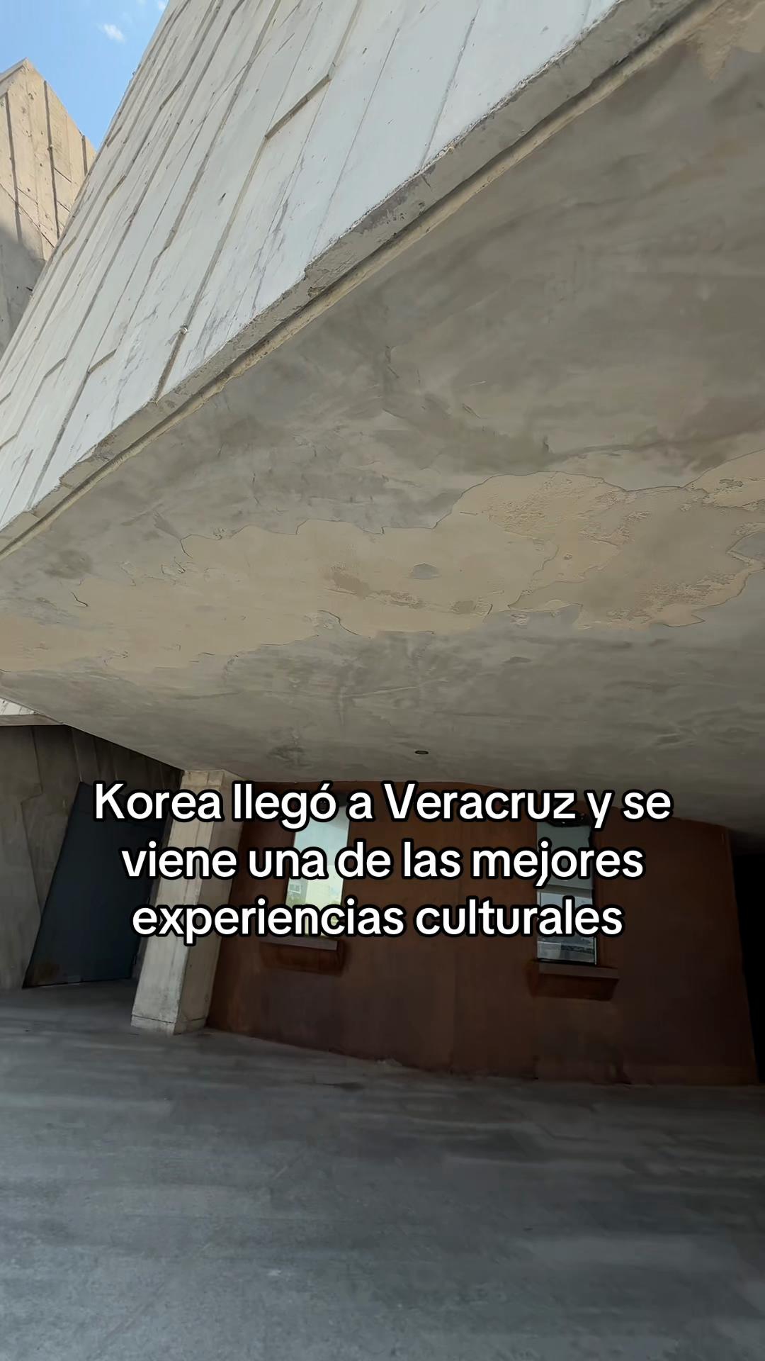 @Majo Galván 🦖
