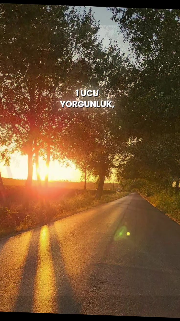 @💫𝕲𝖊𝖈𝖊 𝕺𝖑𝖚𝖓𝖈𝖆💫