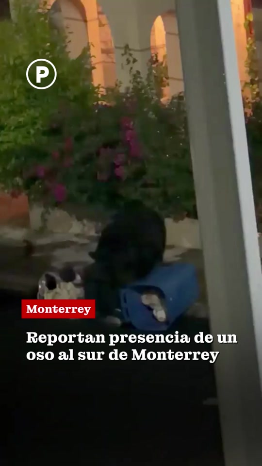 @POSTAmx | Nuevo León