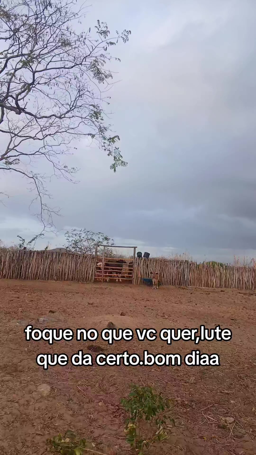 @mariaamelia44