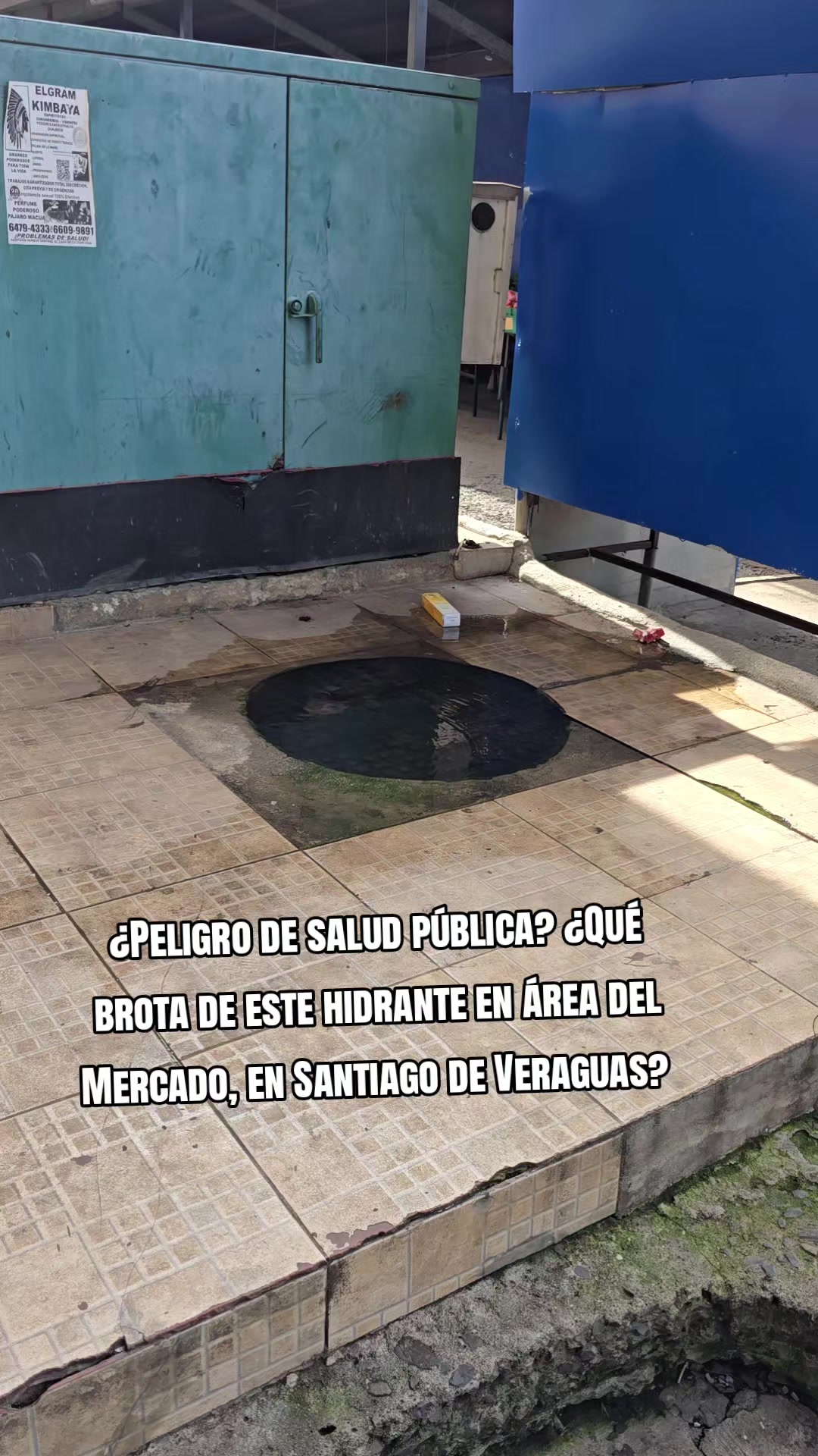 @Profe Gloria Camaño