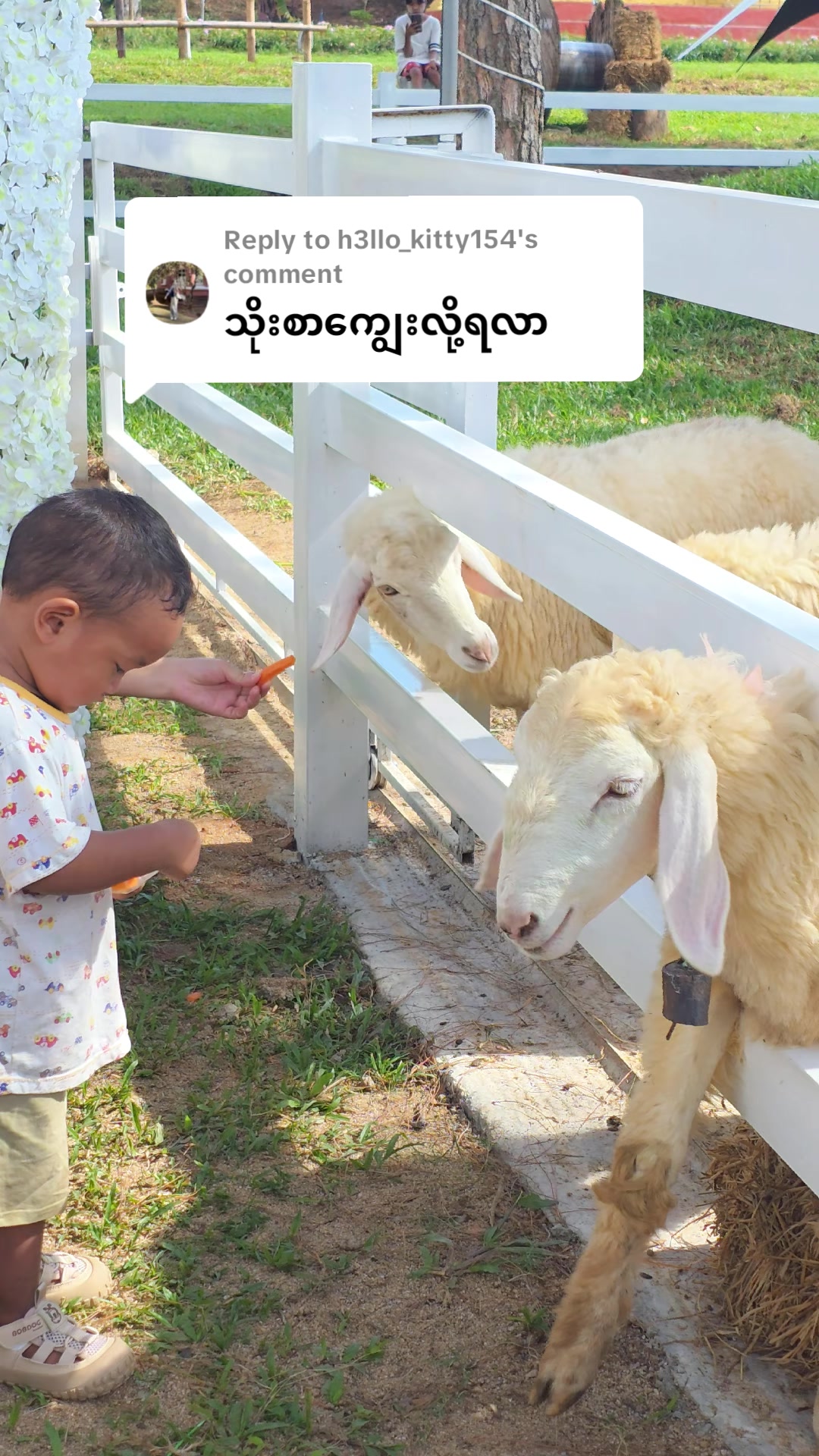 @သစ်တစ်ပင်တောင် (Official)