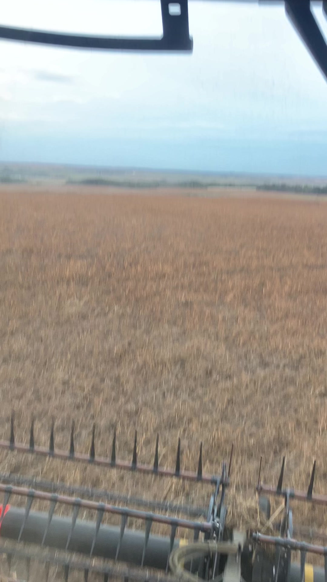 @bf48farmer