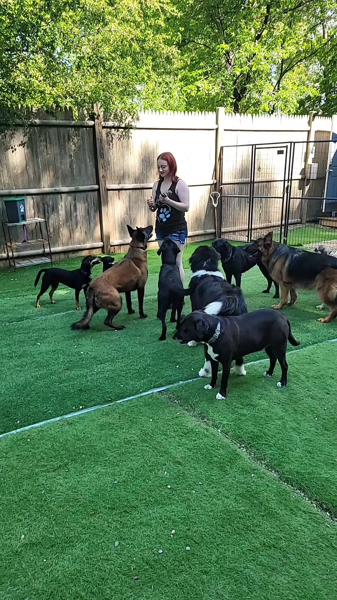 @Magicdogland.com