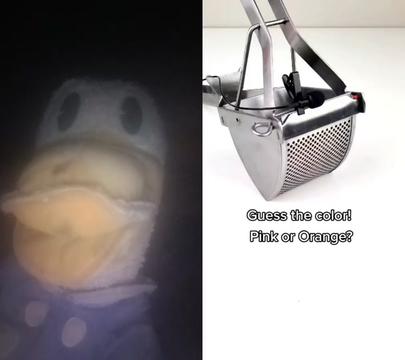 @Donald