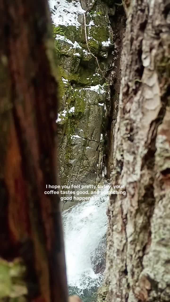 @Humbled.me 🌲PNW Gardener