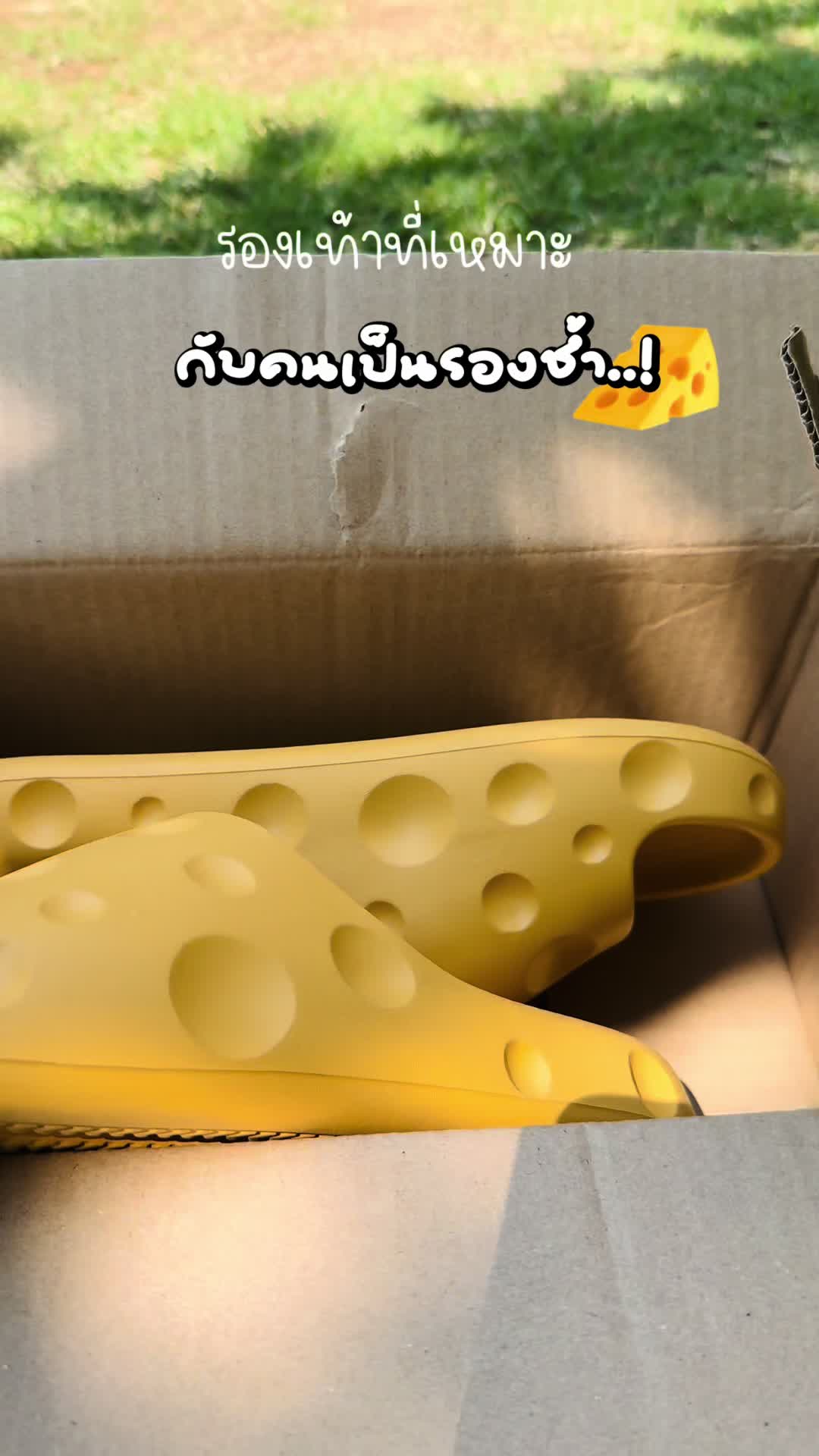 @ม่อน🧀🌾🛵