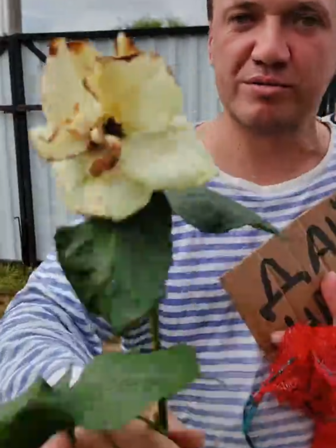@Веселая семейка☑️