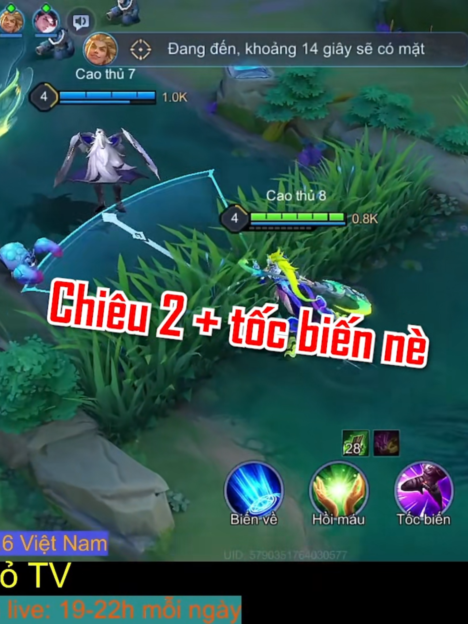 @Nhỏ TV