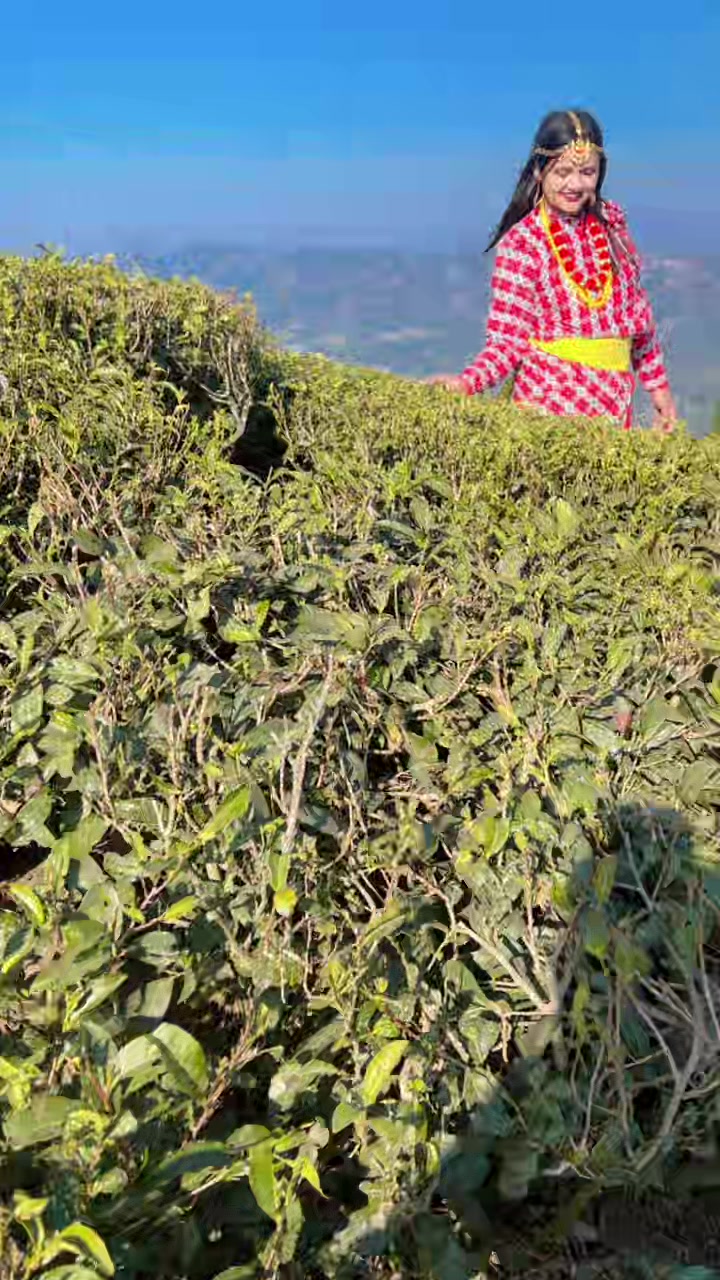 @srijanaregmi