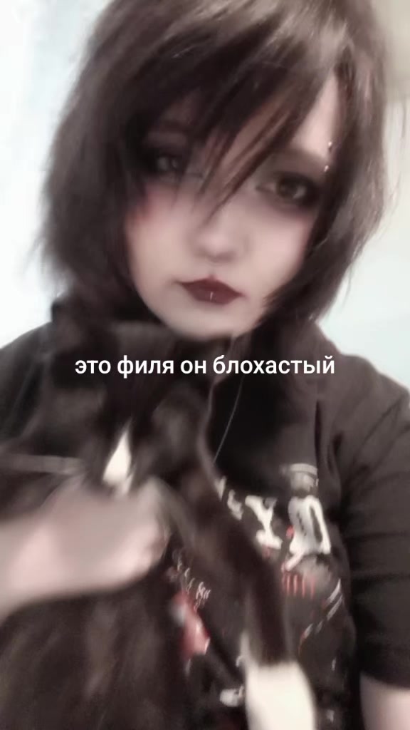 @chervvii [||-//]