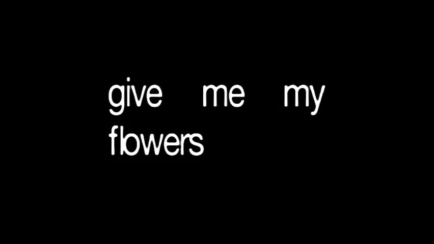 @WeLoveP