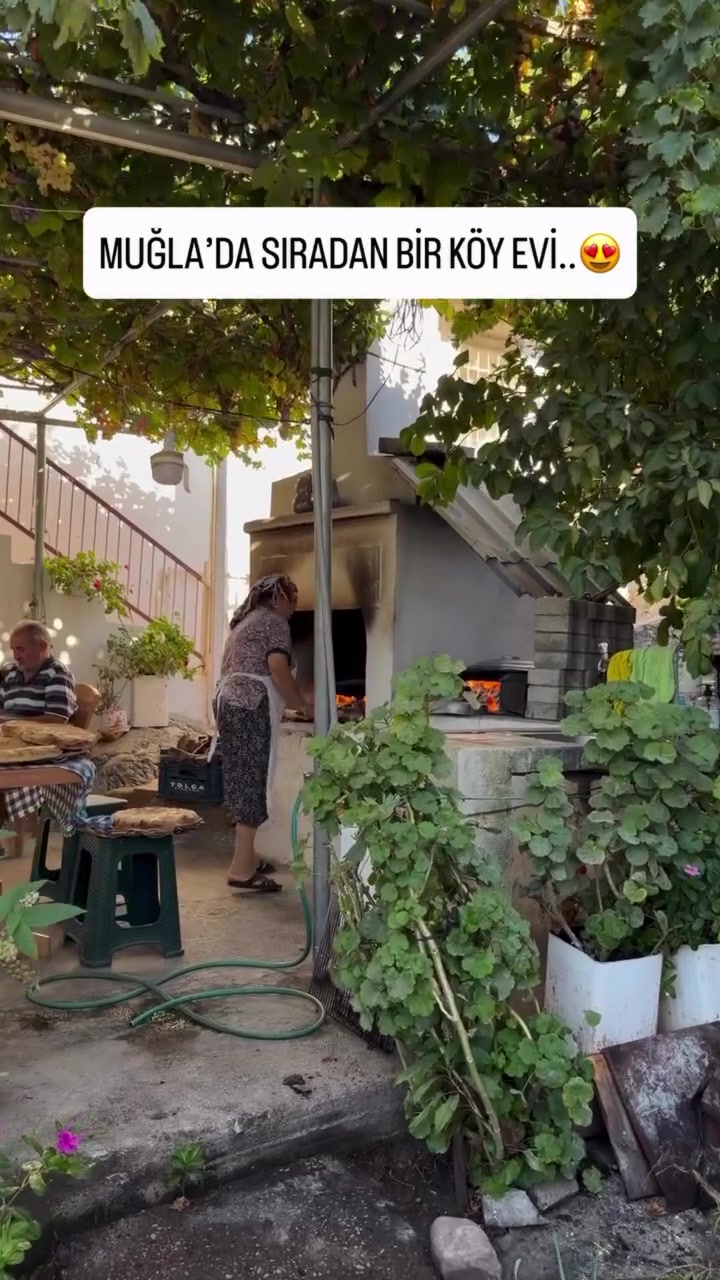 @Muğla Geyik