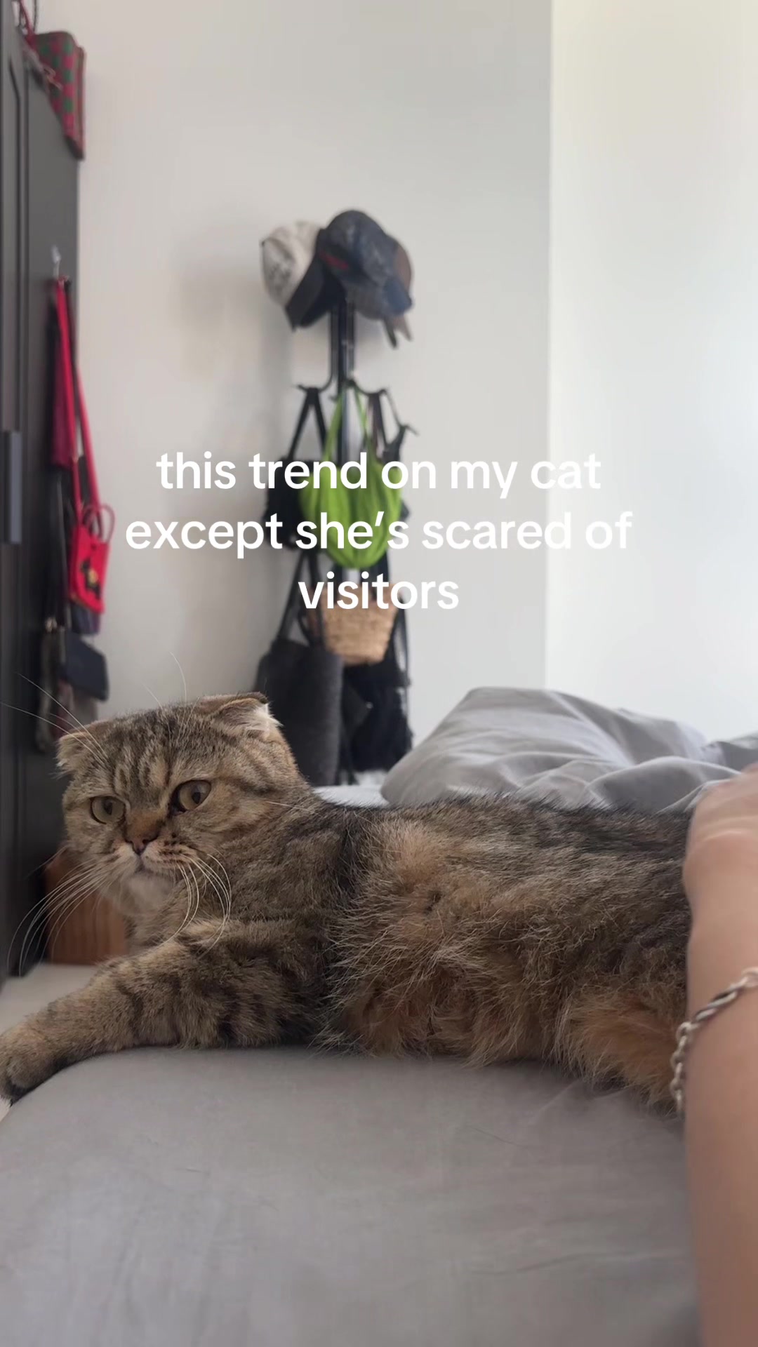 @Sarah