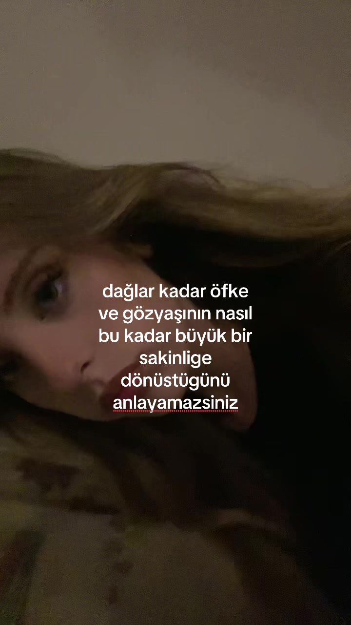 @bilge.adamreis