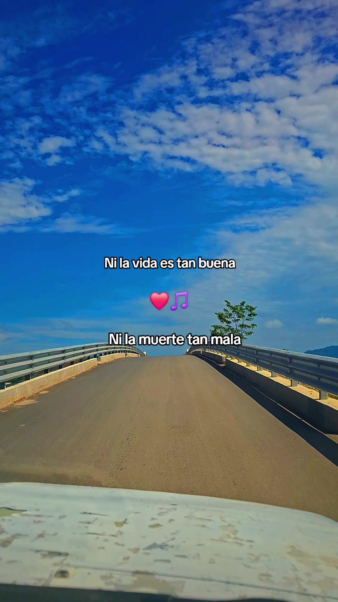 @Daniela