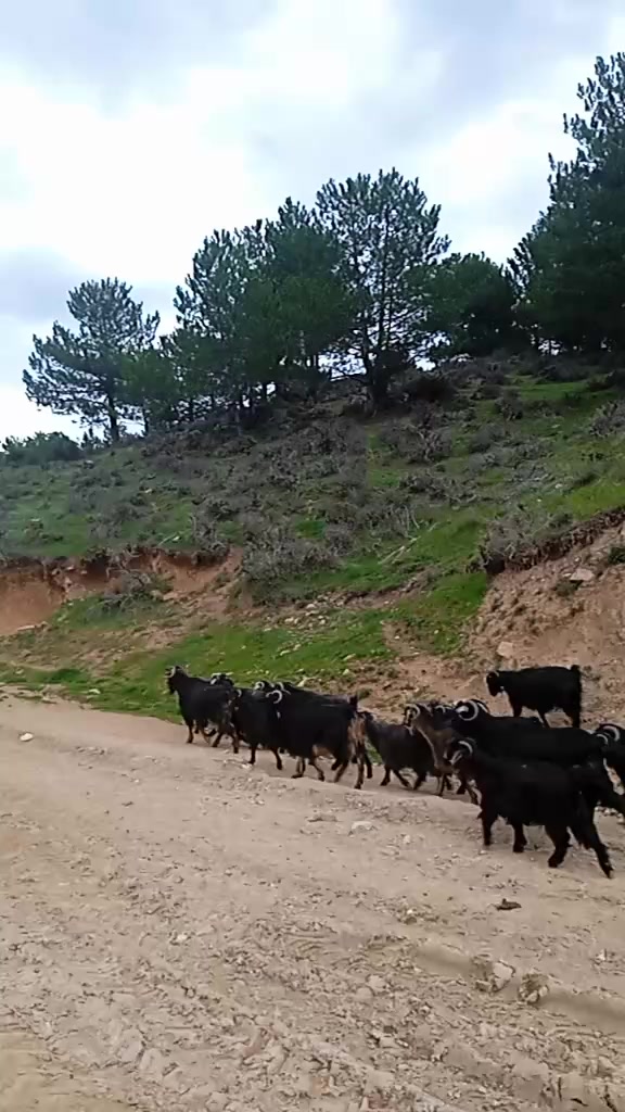 @Osman Eğilmez