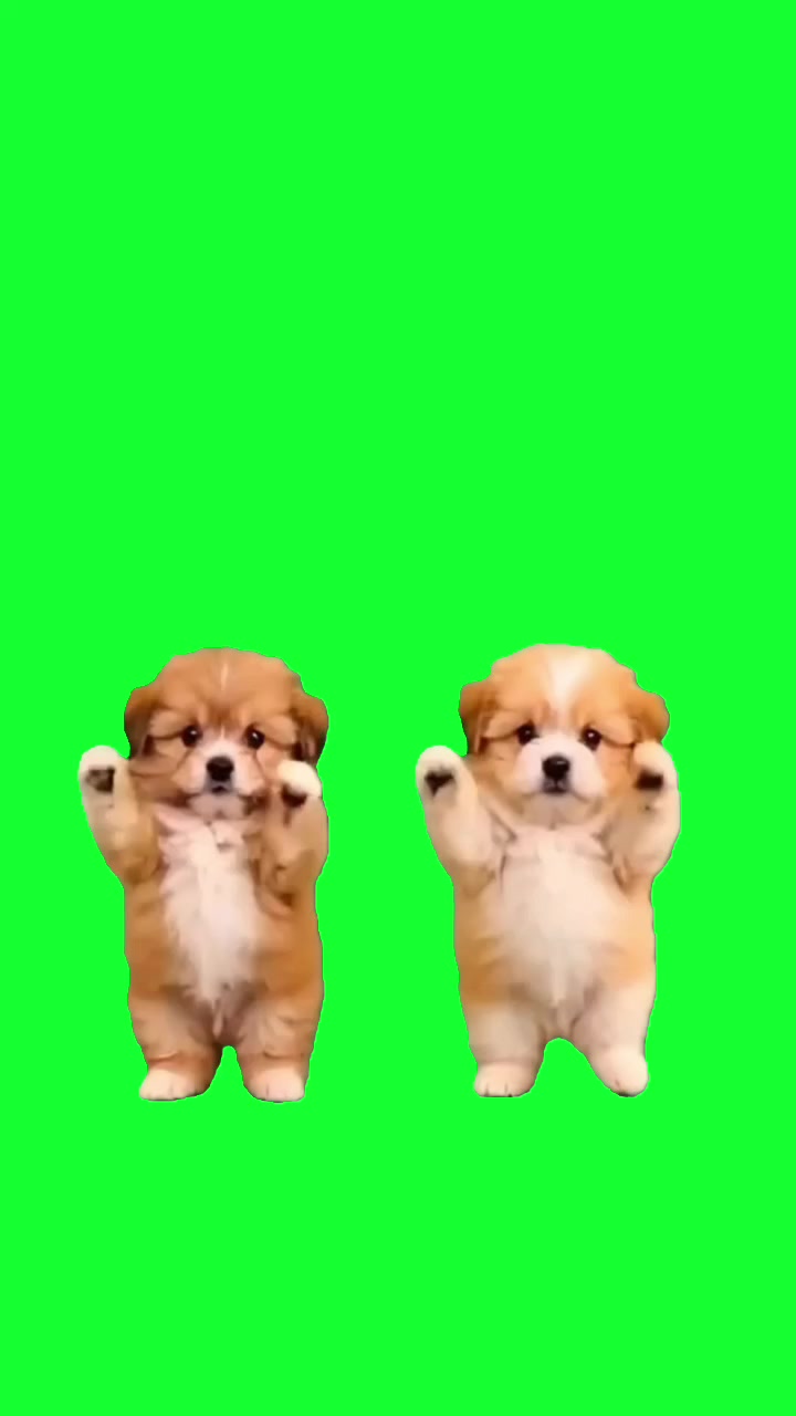 @TikTok Template