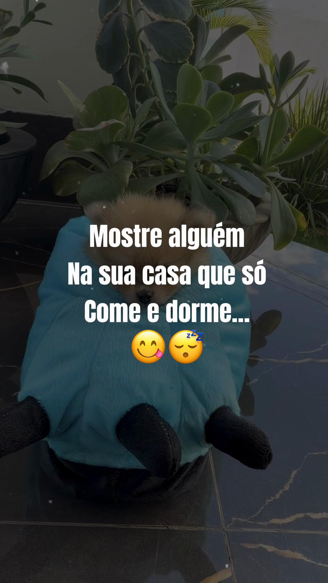 @Kettyla e elisandro