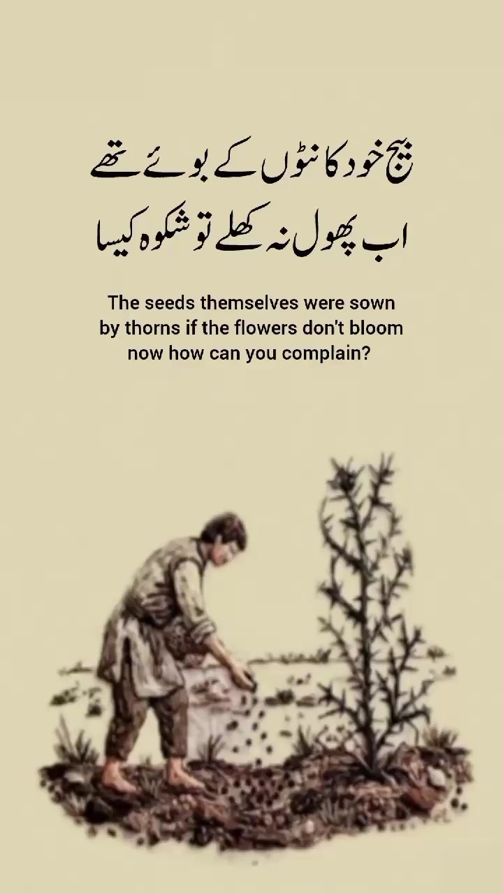 @Fatima creation