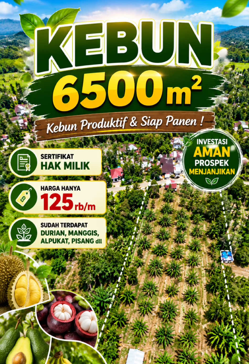 @Sumbar Property