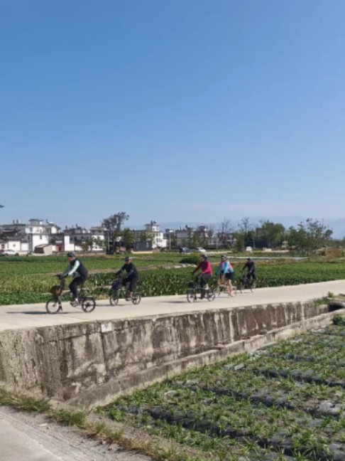 @Brompton Experiences
