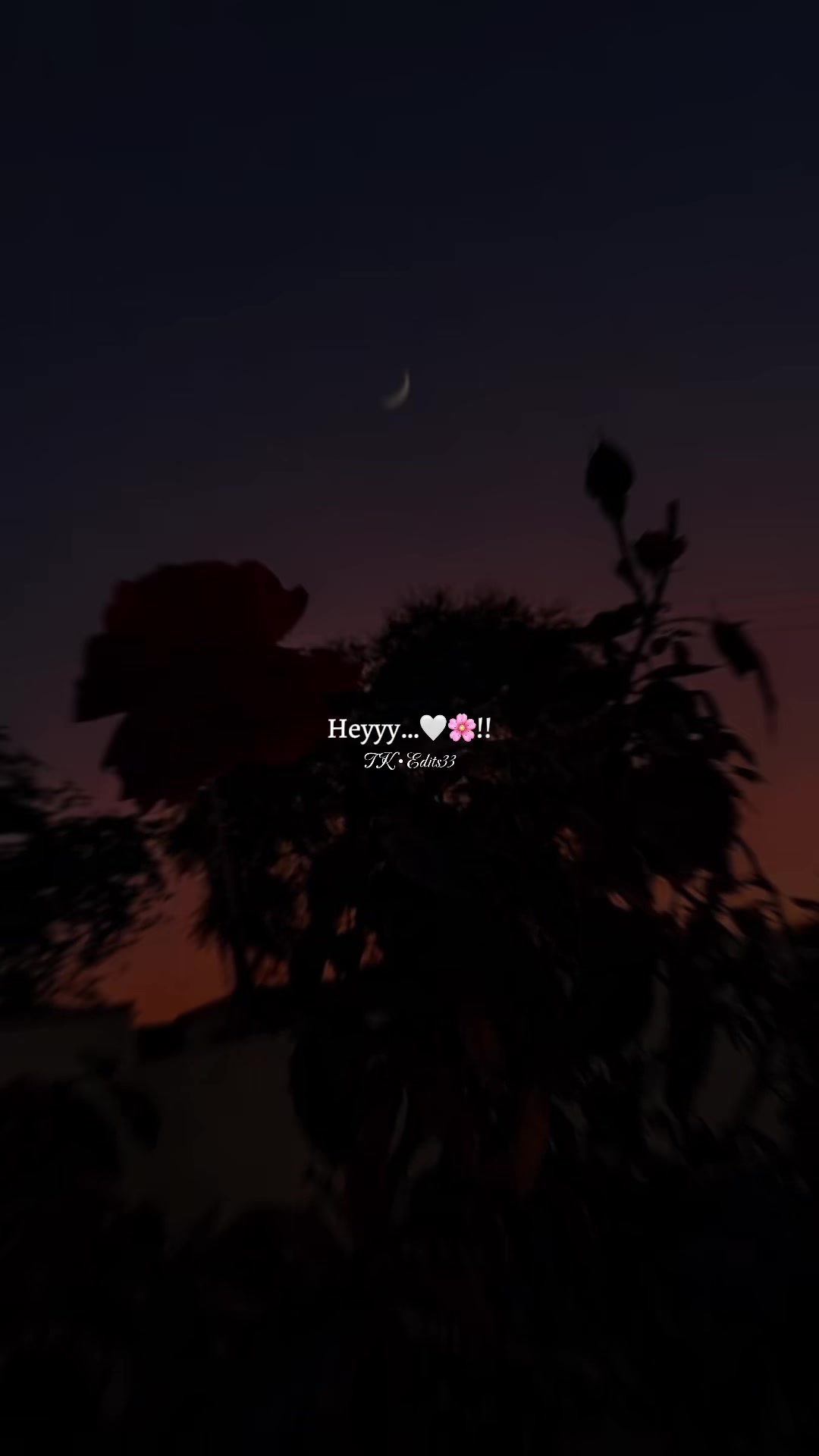 @ᥫ᭡ 𝐂𝐊•𝐄𝐝𝐢𝐭𝐬𝟎𝟑 🌸🦢!!