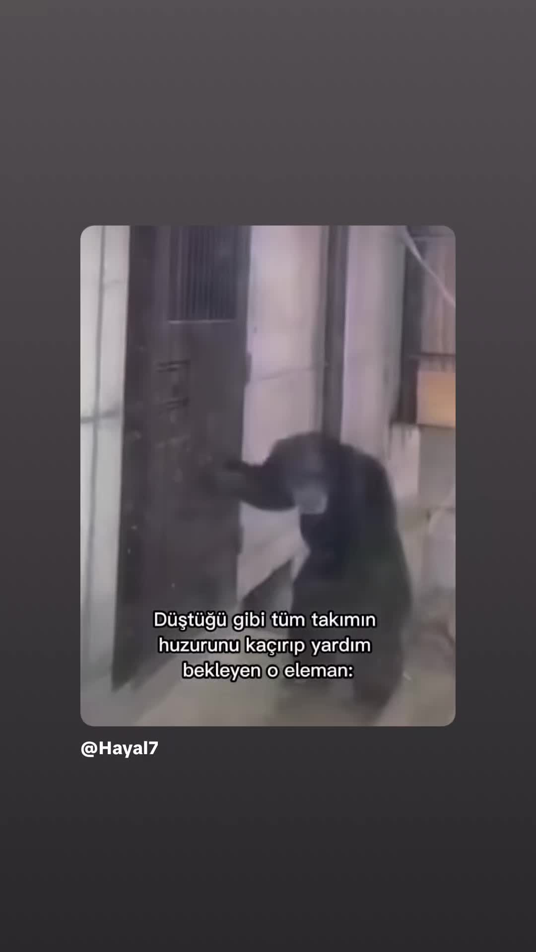 @Dark WolF