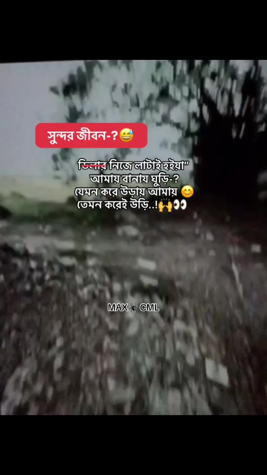@MAX 🕷️ CML